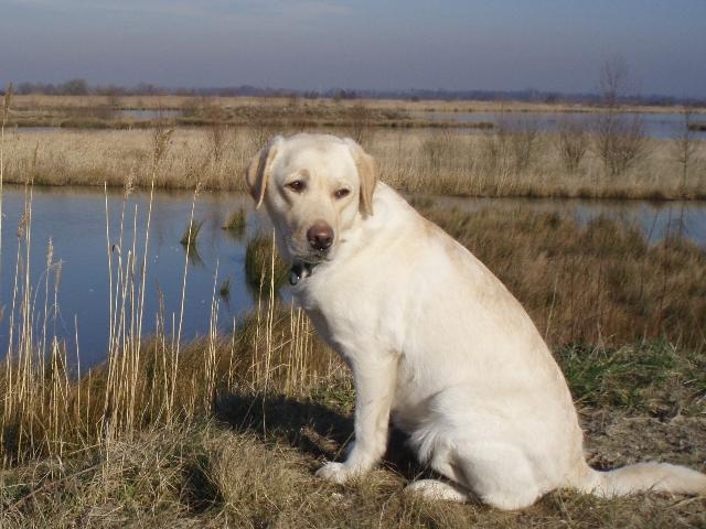 Bei den Ausschachtungen 02